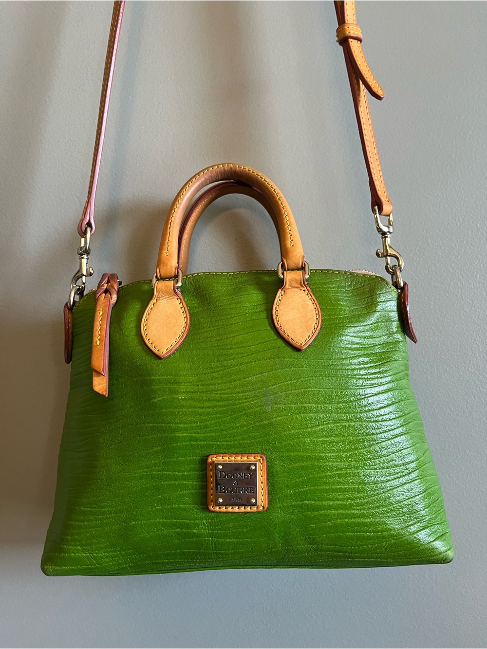 Dooney & Bourke Green Dillen Crossbody/Shoulder Satchel with Tan Vachetta Trim